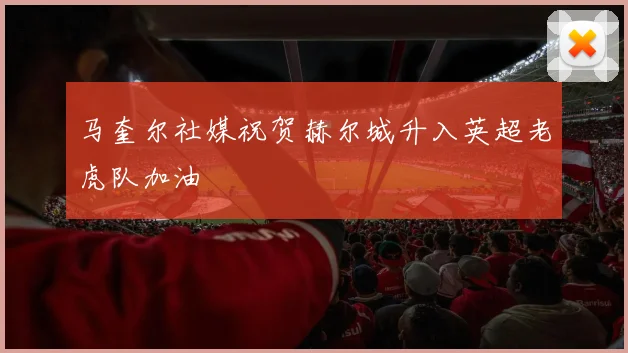 马奎尔社媒祝贺赫尔城升入英超老虎队加油